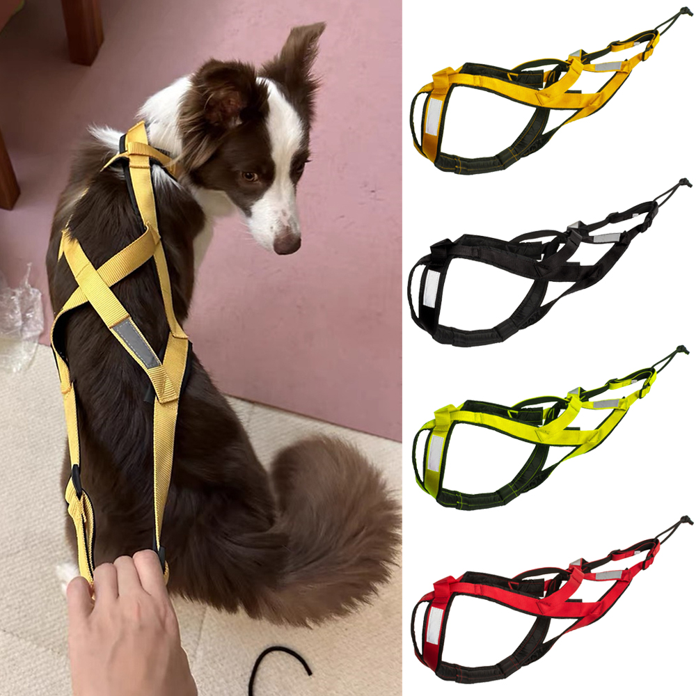 Reflective Running Jacket - High Quality Big Dog Sledge Harness